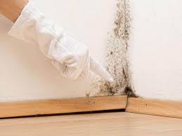 Best Biohazard Mold Removal  in Sherwood, OR